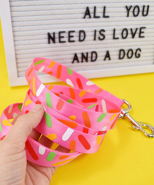Crafts To Make and Sell For Teens - DIY Sprinkled Dog Leash Tutorial - How to Make A Sprinkled Dog Leash - Cute DIY Dog Leash - Easy Craft Project Ideas To Make for Selling On Etsy and Online - Cool Ideas and DIY Ideas You Can Sell On Etsy - Fun and Cheap Do It Yourself Projects for Teenagers to Make Extra Money This Summer #teencrafts #craftstomakeandsell #diyideas