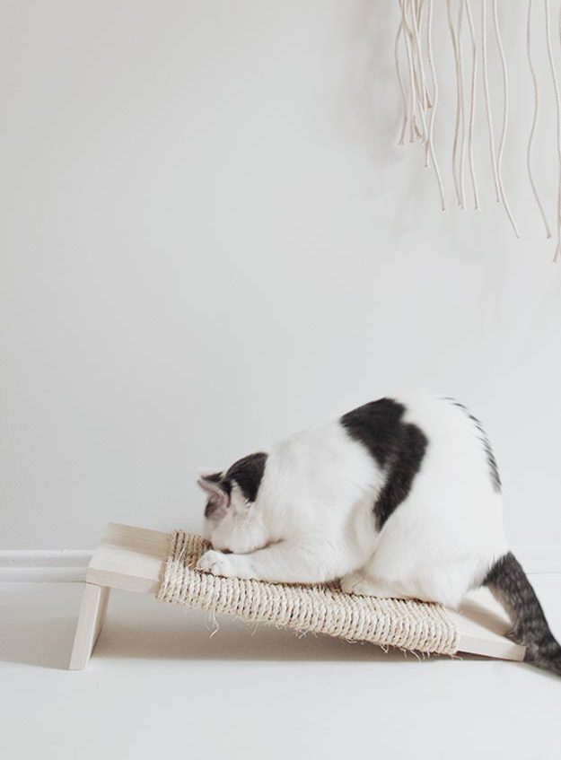 DIY Ideas for Your Cat - How to make A Cat Scratcher - Cool and Easy Homemade Stuff To Make For Cats and Kittens - Cardboard Furniture, DIY Cat Scratching Post and Lounging Tree - #teencrafts #pets #diyideas