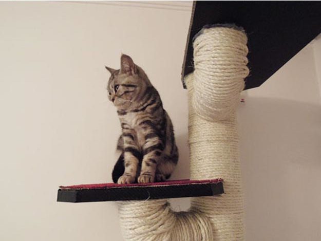 DIY Ideas for Your Cat - How to make A Cat Tree - Cool and Easy Homemade Stuff To Make For Cats and Kittens - Cardboard Furniture, DIY Cat Scratching Post and Lounging Tree - #teencrafts #pets #diyideas
