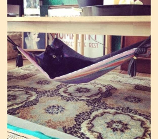 DIY Ideas for Your Cat - How to make a Cat Hammock - Cool and Easy Homemade Stuff To Make For Cats and Kittens - Cardboard Furniture, DIY Cat Scratching Post and Lounging Tree - #teencrafts #pets #diyideas