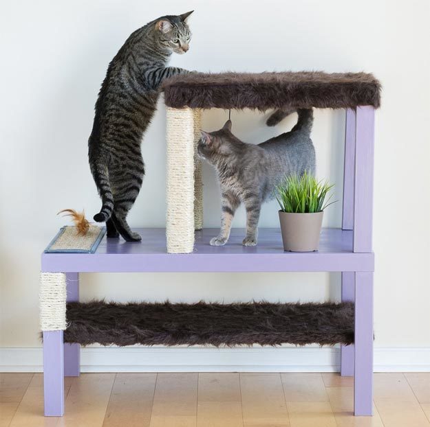 DIY Ideas for Your Cat - How to make A Cat Condo - Cool and Easy Homemade Stuff To Make For Cats and Kittens - Cardboard Furniture, DIY Cat Scratching Post and Lounging Tree - #teencrafts #pets #diyideas