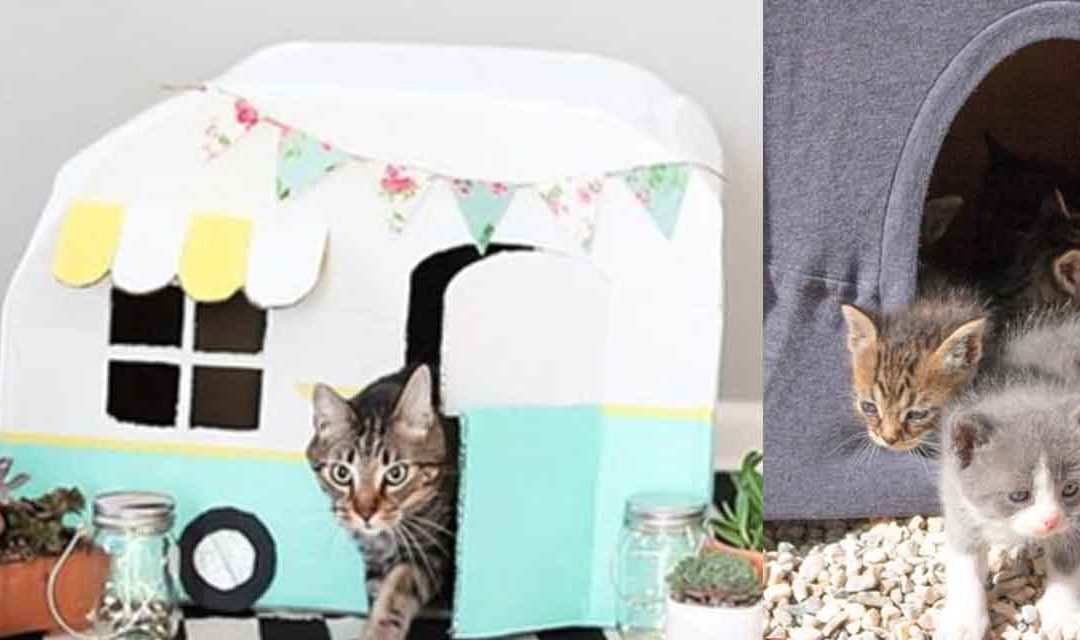32 Cute DIY Ideas to Make for Your Cat Teen Crafts