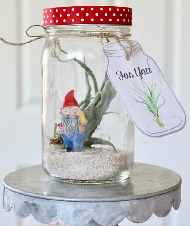 Gifts in A Jar Ideas, Recipes - DIY Air Plant in A Jar Gift - Inexpensive Gifts You Can Make For Friends and Neighbors - Gift Jars for Christmas, Teachers - Cute Gift Ideas in Mason Jars - What to Put in Jar as A Gift - Cheap and Easy Gifts